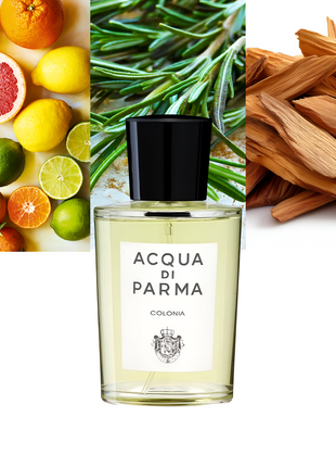 Colonia 3.4 oz/ 100ml