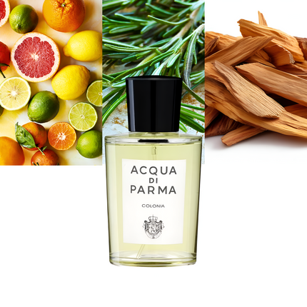 Colonia 3.4 oz/ 100ml