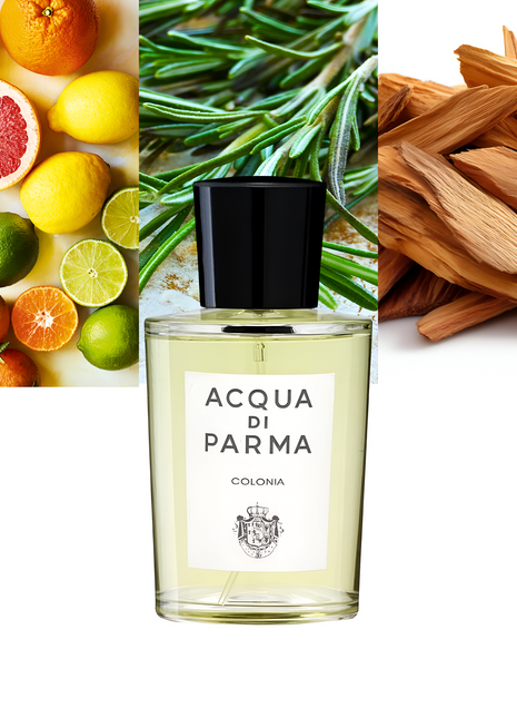 Colonia 3.4 oz/ 100ml