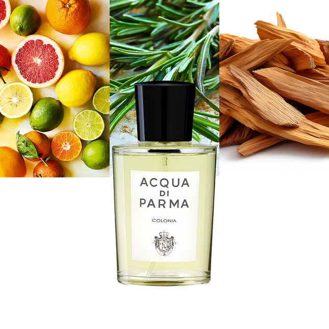 Colonia 3.4 oz/ 100ml