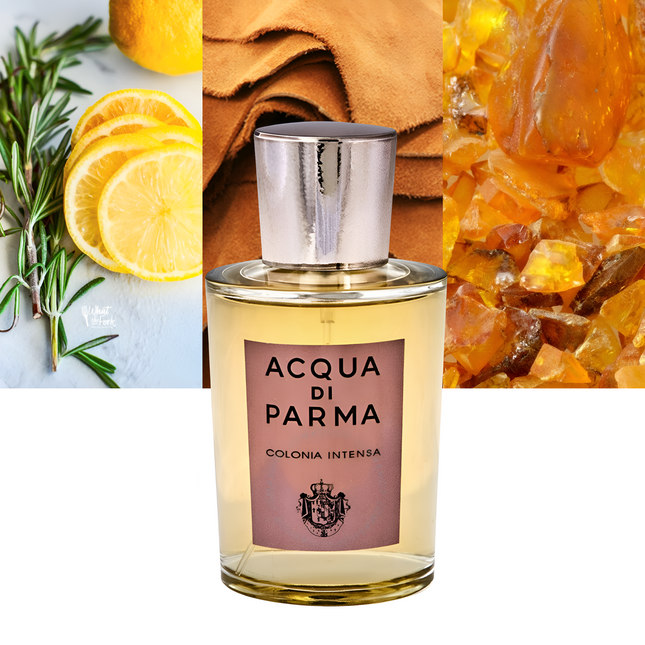 Colonia Intensa 6.0 oz / 177 ml