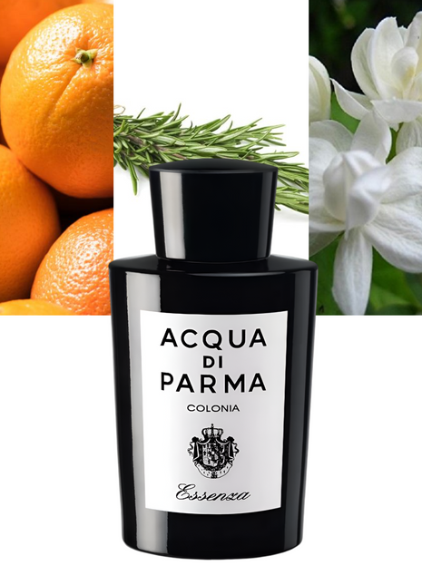 Essenza 6.0 oz / 177 ml