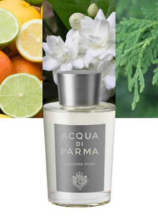 Colonia Pura 6.0 oz / 177 ml