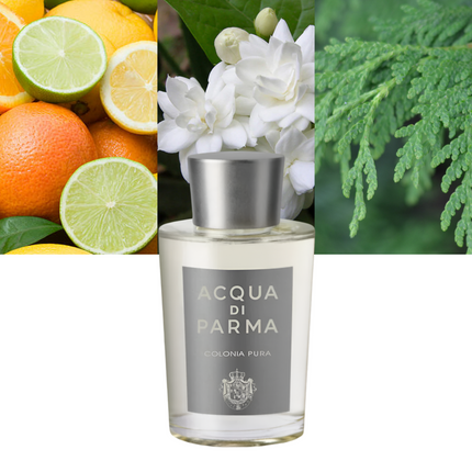 Colonia Pura 6.0 oz / 177 ml