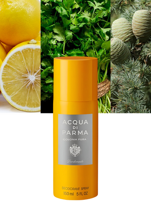 Colonia Pura 5.0 oz / 148 ml