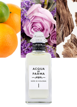 Note di Colonia I 5.0 oz / 148 ml