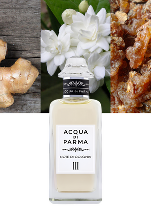Note di Colonia III 5.0 oz / 148 ml