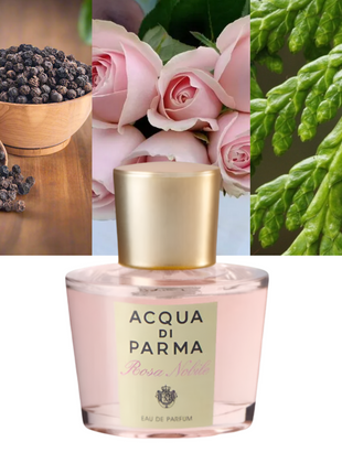 Rosa Nobile 1.7 oz / 50 ml