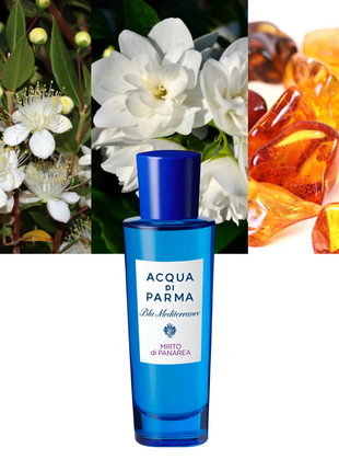 Blu Mediterraneo Mirto di Panarea 1.0 oz / 30 ml