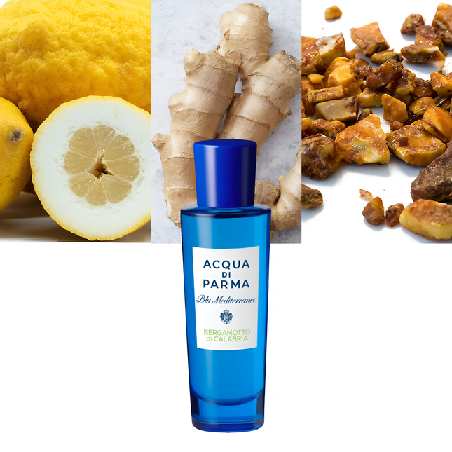 Blu Mediterraneo Bergamotto di Calabria 1.0 oz / 30 ml