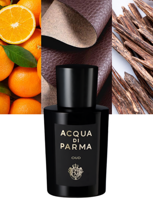 Signatures Of The Sun Oud 0.7 oz / 21 ml