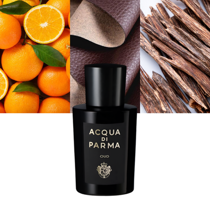 Signatures Of The Sun Oud 0.7 oz / 21 ml