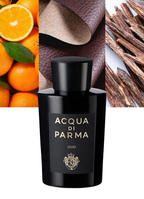 Oud 6.0 oz / 177 ml