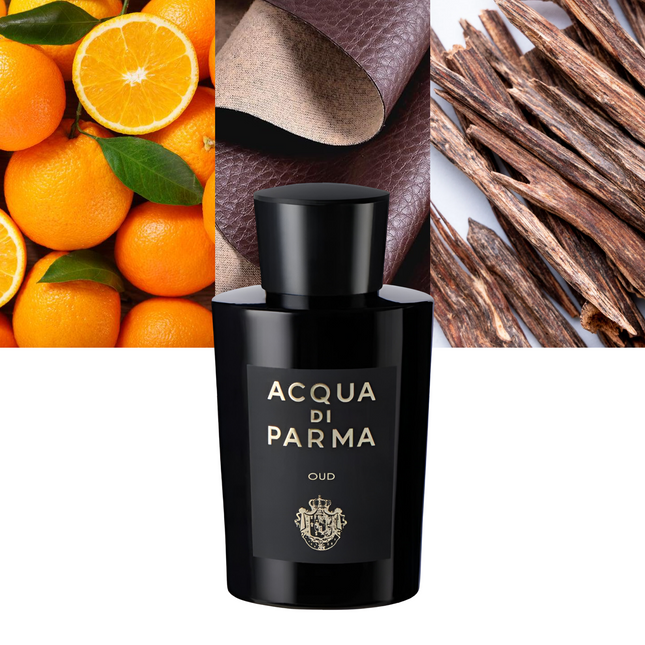 Oud 6.0 oz / 177 ml