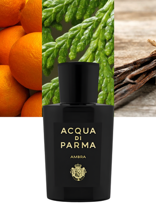 Signaures Of The Sun Ambra 3.4 oz/ 100ml