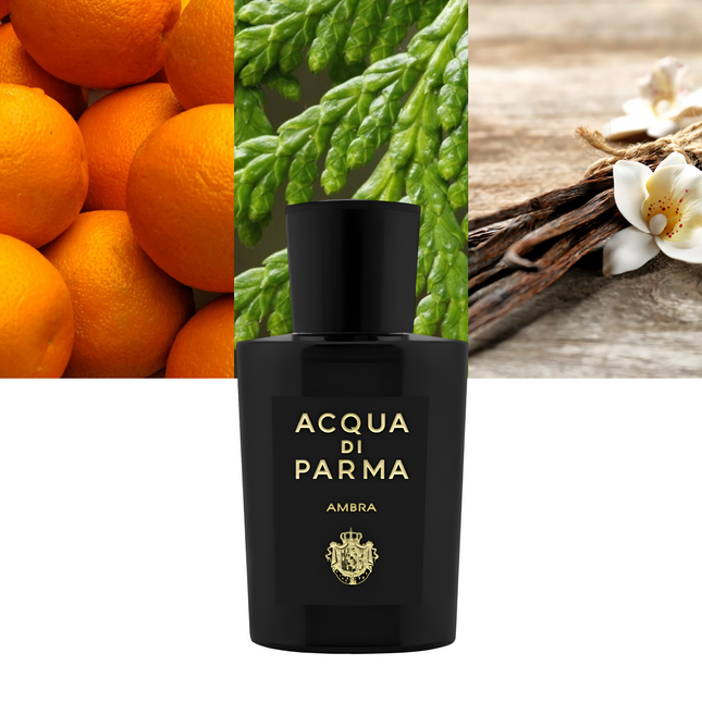 Signaures Of The Sun Ambra 3.4 oz/ 100ml