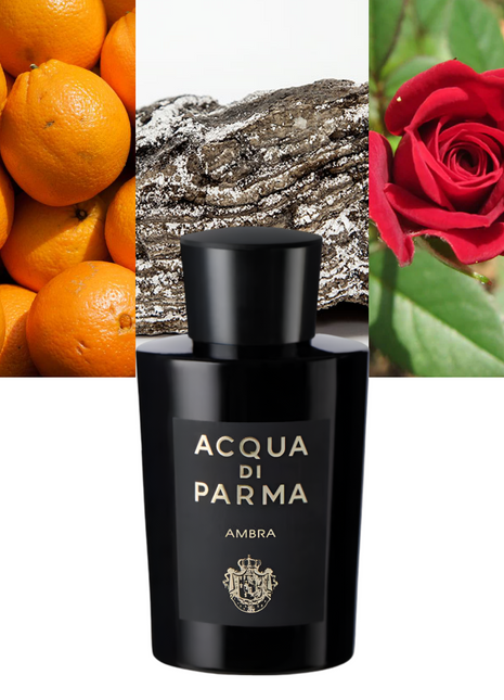 Signatures Of The Sun Ambra 6.0 oz / 177 ml