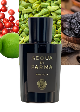 Signatures Of The Sun Quercia 3.4 oz/ 100ml