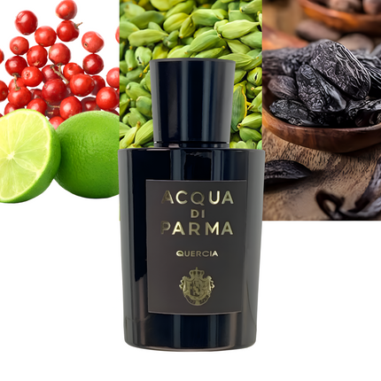 Signatures Of The Sun Quercia 3.4 oz/ 100ml