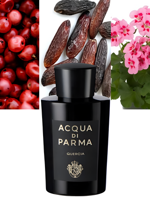 Signatures Of The Sun Quercia 6.0 oz / 177 ml