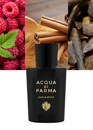 Oud & Spice 3.4 oz/ 100ml