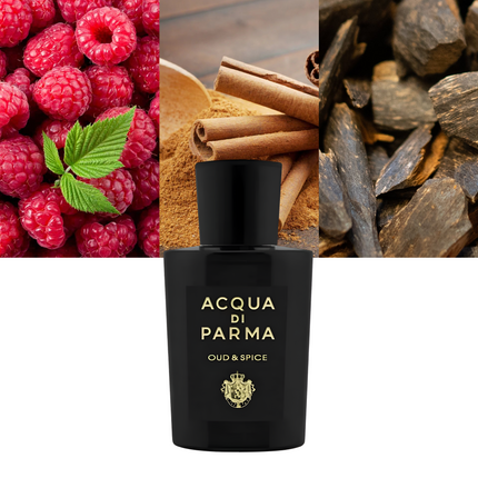 Oud & Spice 3.4 oz/ 100ml
