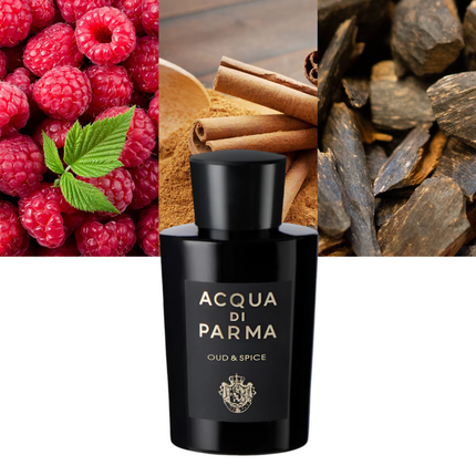 Oud & Spice 6.0 oz / 177 ml