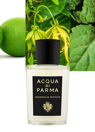 Magnolia Infinita 3.4 oz/ 100ml