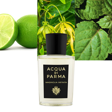 Magnolia Infinita 3.4 oz/ 100ml