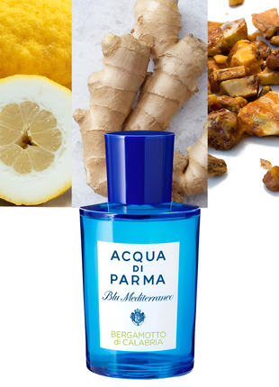 Blu Mediterraneo Bergamotto di Calabria 3.4 oz/ 100ml