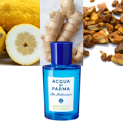 Blu Mediterraneo Bergamotto di Calabria 3.4 oz/ 100ml