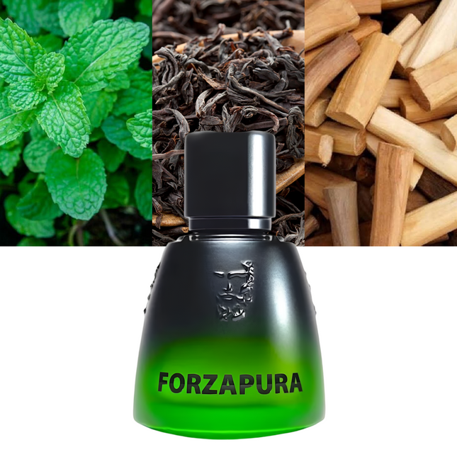 Agatho Parfum Forzapura (U) 1.7 Oz