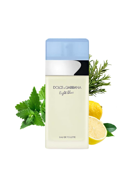 D&G Light Blue New Pack Perfume by Dolce & Gabbana for Men - Fresh Citrus Fragrance in Stylish Packaging