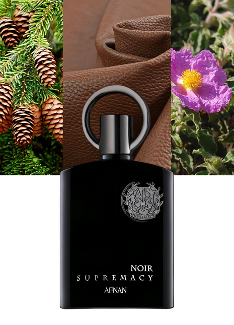  Afnan Supremacy Noir, Afnan Supremacy Noir for Men, Supremacy Noir perfume, Afnan men’s fragrance, long-lasting men’s perfume, luxury perfume for men, woody masculine scent, niche men’s fragrance, Afnan EDP 3.4 Oz, best Afnan perfume, elegant men’s perfume, premium fragrance for men.
