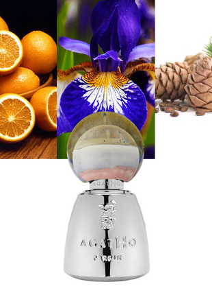 Agatho Parfum Portamarina, Portamarina 3.4 oz, Agatho unisex perfume, Mediterranean fragrance, aquatic woody scent, luxury niche perfume, Agatho Parfum collection, long-lasting Eau de Parfum, Italian niche fragrance brand, fresh unisex scent, luxury perfume for men and women, Agatho Portamarina review, elegant everyday fragrance.
