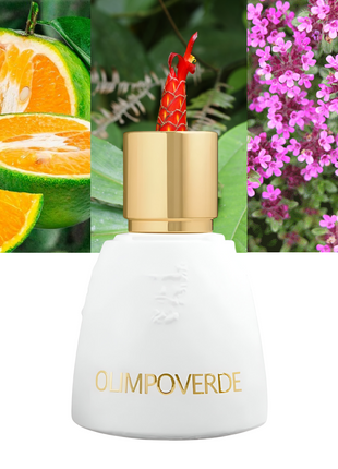  Agatho Parfum Olimpoverde, Olimpoverde EDP, Agatho unisex perfume, fresh green fragrance, Italian niche perfume, long-lasting Eau de Parfum, luxury unisex scent, Mediterranean-inspired perfume, Agatho Parfum collection, elegant woody perfume, premium niche fragrance, Agatho Olimpoverde review, herbal floral scent for men and women.
