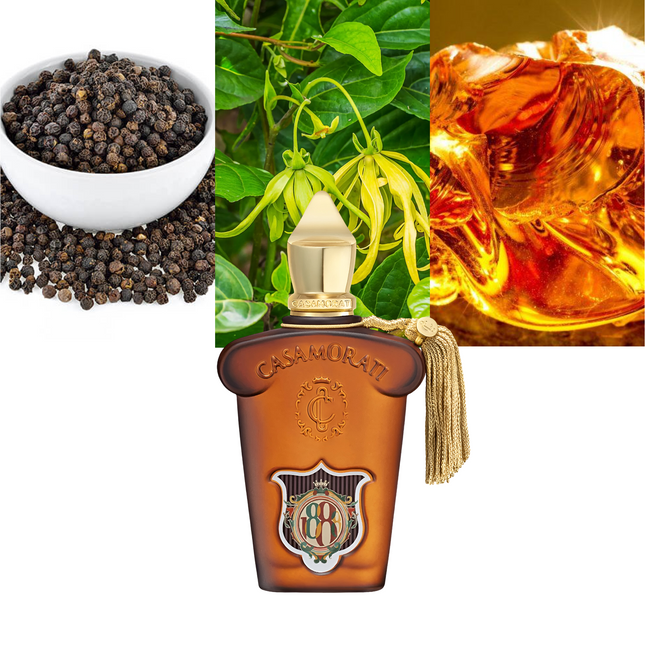 Casamorati 1888 0.17 oz / 5ml EAU DE PARFUM