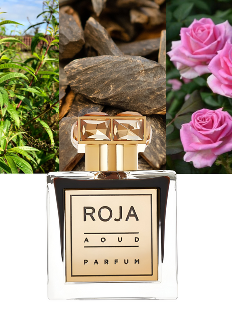 Roja Parfums Aoud, Roja Aoud perfume, Roja Parfums unisex, luxury oud fragrance, long-lasting perfume, oriental woody scent, niche perfume, high-end fragrance, Roja Parfums new packing, oud perfume, amber musk perfume, unisex luxury fragrance, elegant oud perfume, Roja Parfums 3.4 oz, evening fragrance for men and women.
