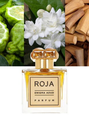 Roja Parfums Enigma Aoud, Roja Enigma Aoud perfume, luxury women’s fragrance, Roja Dove perfume, oriental floral perfume, long-lasting niche perfume, oud and vanilla scent, rose and aoud perfume, high-end Eau de Parfum, feminine luxury fragrance, Roja Parfums for women, best Roja perfumes 2025.
