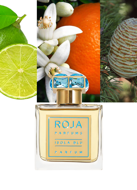  Roja Parfums Isola Blu, Roja Dove perfume, luxury unisex fragrance, niche perfume, Mediterranean-inspired scent, long-lasting fragrance, elegant perfume for men and women, Roja Parfums 1.7 oz, amber woody fragrance, citrus floral perfume, high-end perfume brand, best Roja Parfums fragrance.
