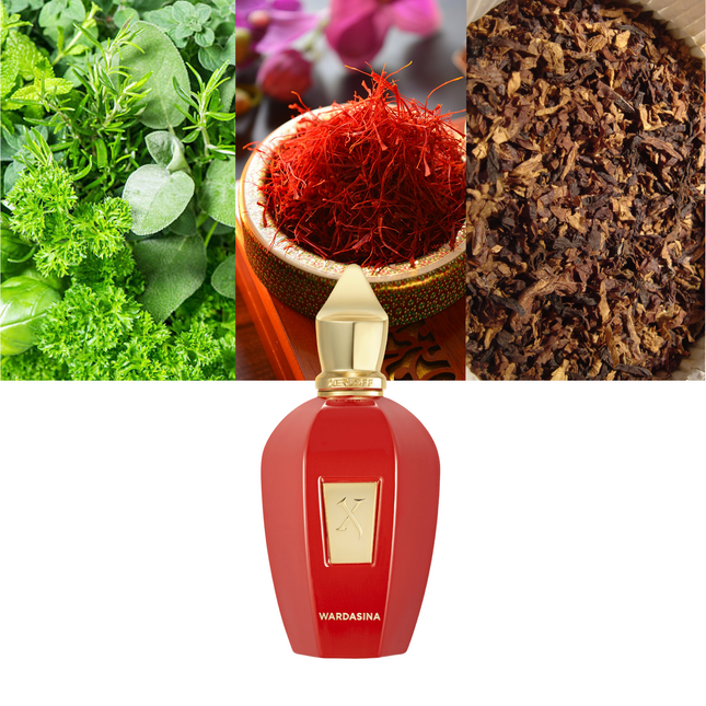 Wardasina 3.4 oz / 100 ml