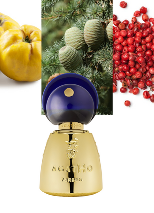 Agatho Parfum Vettii, Agatho Perfume, niche fragrance, luxury perfume, unisex scent, Italian perfume, long-lasting fragrance, premium perfume, elegant scent, amber and musk perfume.
