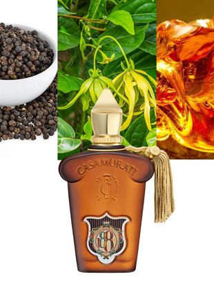 Xerjoff Casamorati 1888, Xerjoff perfume, Casamorati collection, unisex fragrance, luxury perfume, Italian perfume, niche fragrance, oriental floral perfume, spicy woody scent, long-lasting perfume, travel-size perfume, 5 ml Xerjoff fragrance, luxury unisex scent, niche Italian fragrance.
