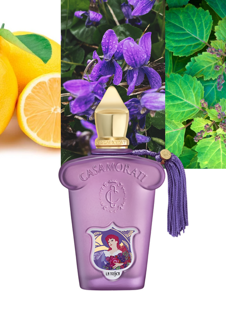 Xerjoff La Tosca, Xerjoff Casamorati Collection, luxury perfume for women, Italian perfume, floral musk fragrance, long-lasting women’s scent, niche perfume, amber floral perfume, La Tosca by Xerjoff, luxury niche perfume 5ml, best Xerjoff perfumes, Italian luxury fragrance for her.
