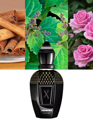 Xerjoff Tony Iommi Deified, Xerjoff perfume, Tony Iommi fragrance, unisex perfume, luxury fragrance, niche perfume, long-lasting scent, Italian perfume, limited edition, designer fragrance, exclusive perfume, sophisticated scent.
