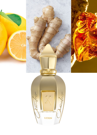 Xerjoff Uden Overdose, Xerjoff perfume, unisex perfume, luxury fragrance, long-lasting scent, Italian perfume, designer perfume, niche fragrance, Uden Overdose by Xerjoff, premium unisex fragrance, best luxury perfume, powerful fragrance.