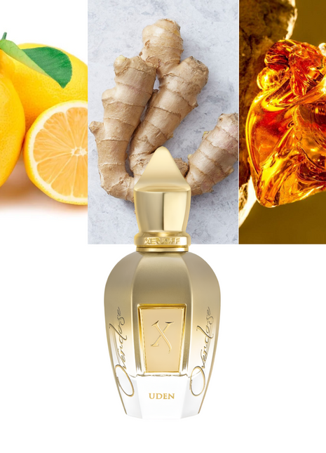 Xerjoff Uden Overdose, Xerjoff perfume, unisex perfume, luxury fragrance, long-lasting scent, Italian perfume, designer perfume, niche fragrance, Uden Overdose by Xerjoff, premium unisex fragrance, best luxury perfume, powerful fragrance.